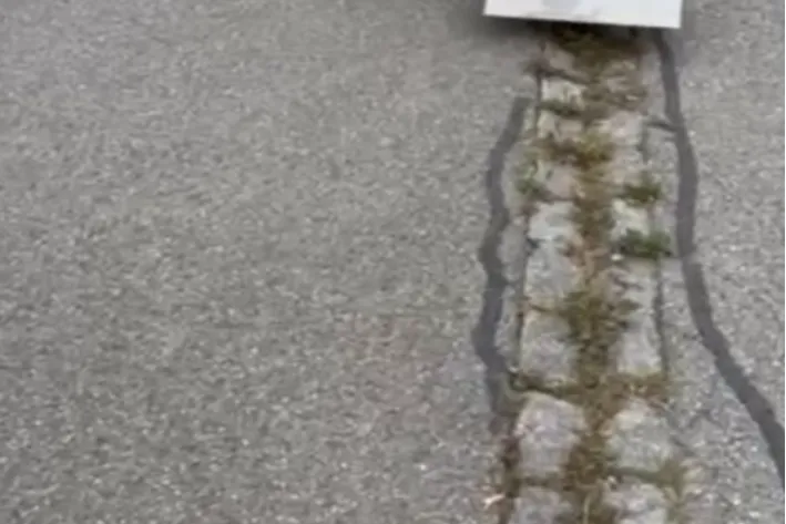 Bild1 Weed-Jet